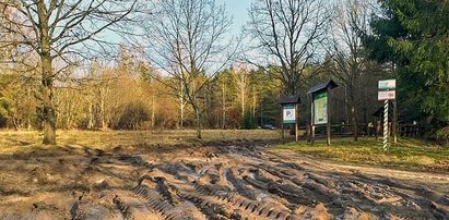 Makabryczne odkrycie niedaleko Białowieży. Znaleziono ciało młodego mężczyzny