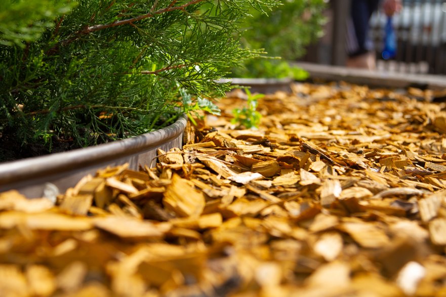 Na rynku dostępna jest kora barwiona - Andrii Chagovets/stock.adobe.com