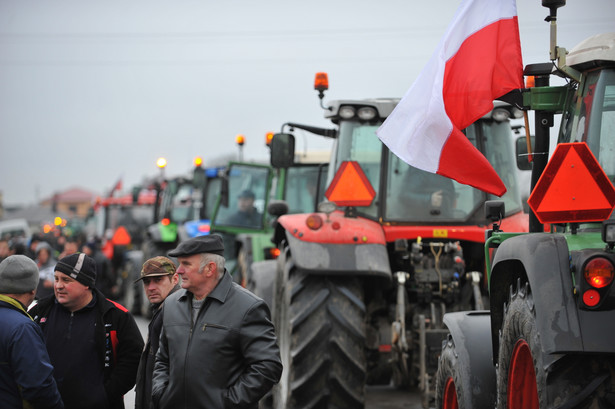 Według szacunków organizatorów na miejscu jest już około 300 ciągników a przyjeżdżają kolejne