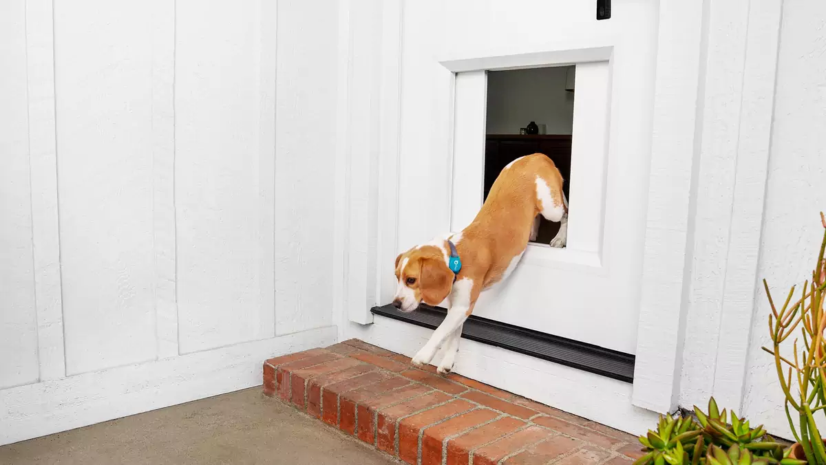 Pet-door-hero