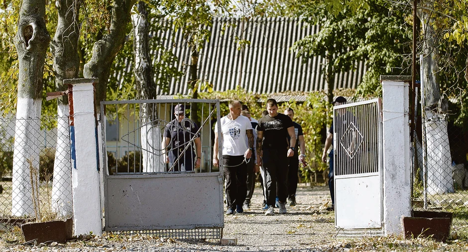 Osuđenici kažu da su im psi ulepšali svakodnevicu i promenili živote nabolje