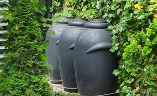 Weź dotację i złap deszcz!