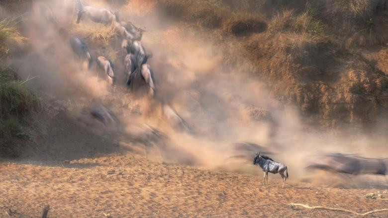 Rohan Neel Shah/Travel Photographer of the Year