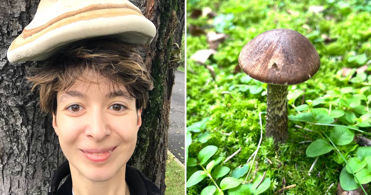 Ola jest grzybiarką. "Szukam grzyba pachnącego jak gnijące mięso"