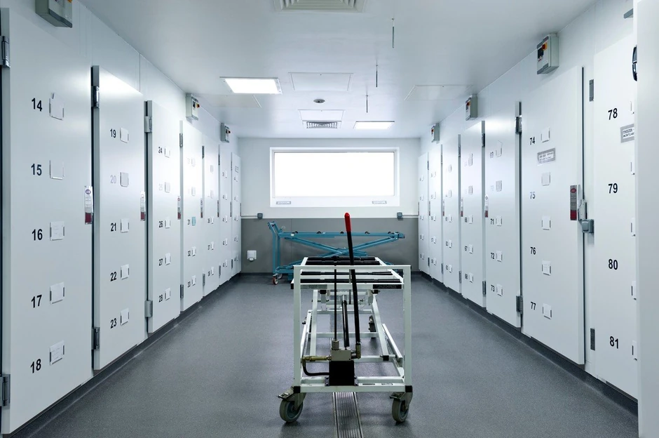 Donirana tela prodavana su po ceni i do 100.000 dolara (foto: ilustracija)