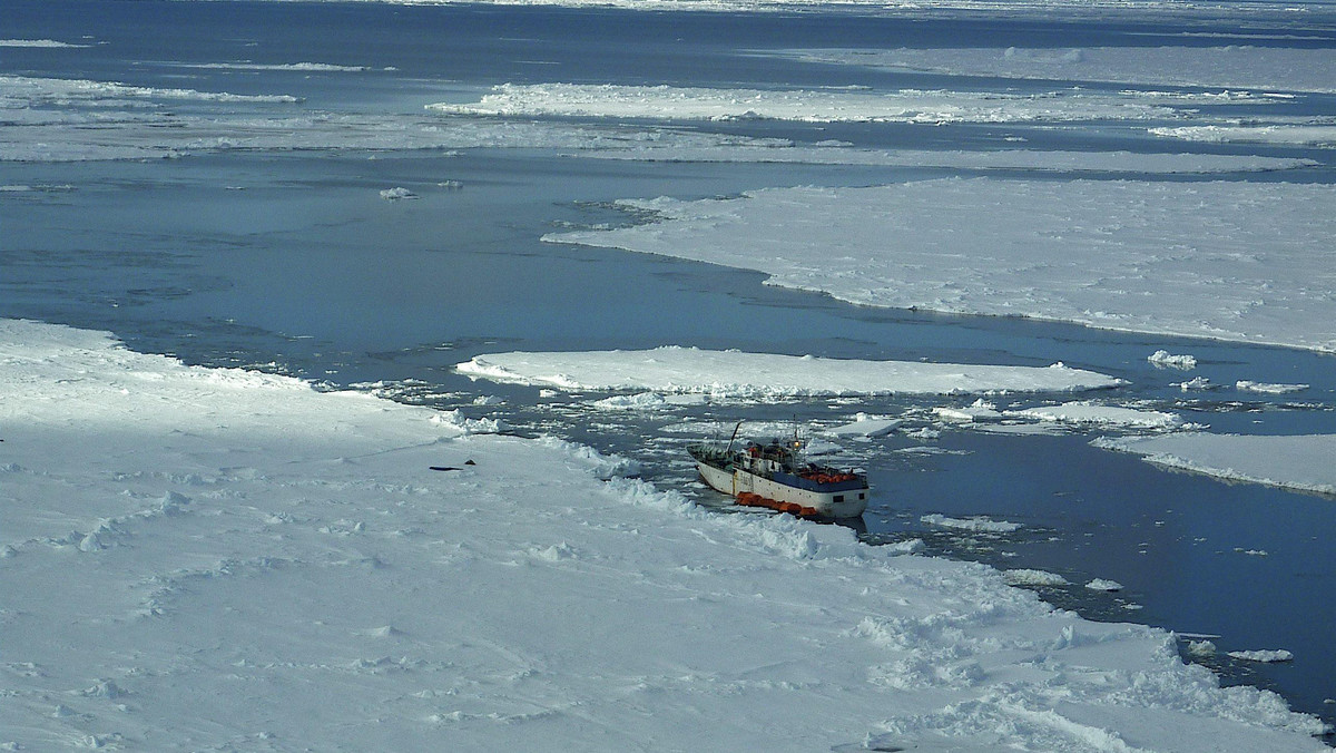 Z nowozelandzkiego miasta Christchurch wystartował dzisiaj rano wojskowy samolot transportowy z kolejną pomocą dla rosyjskiego statku rybackiego "Sparta", uwięzionego w polu lodowym u wybrzeża Antarktydy.