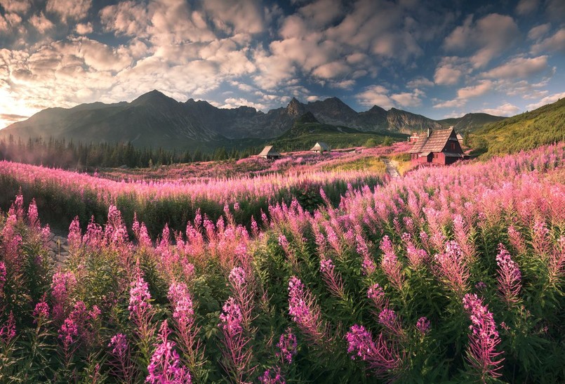 Dolina Gąsienicowa / Fot. Karol Nienartowicz / "Górskie wyprawy fotograficzne"