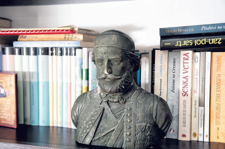 Vladimir Kovačević - dom