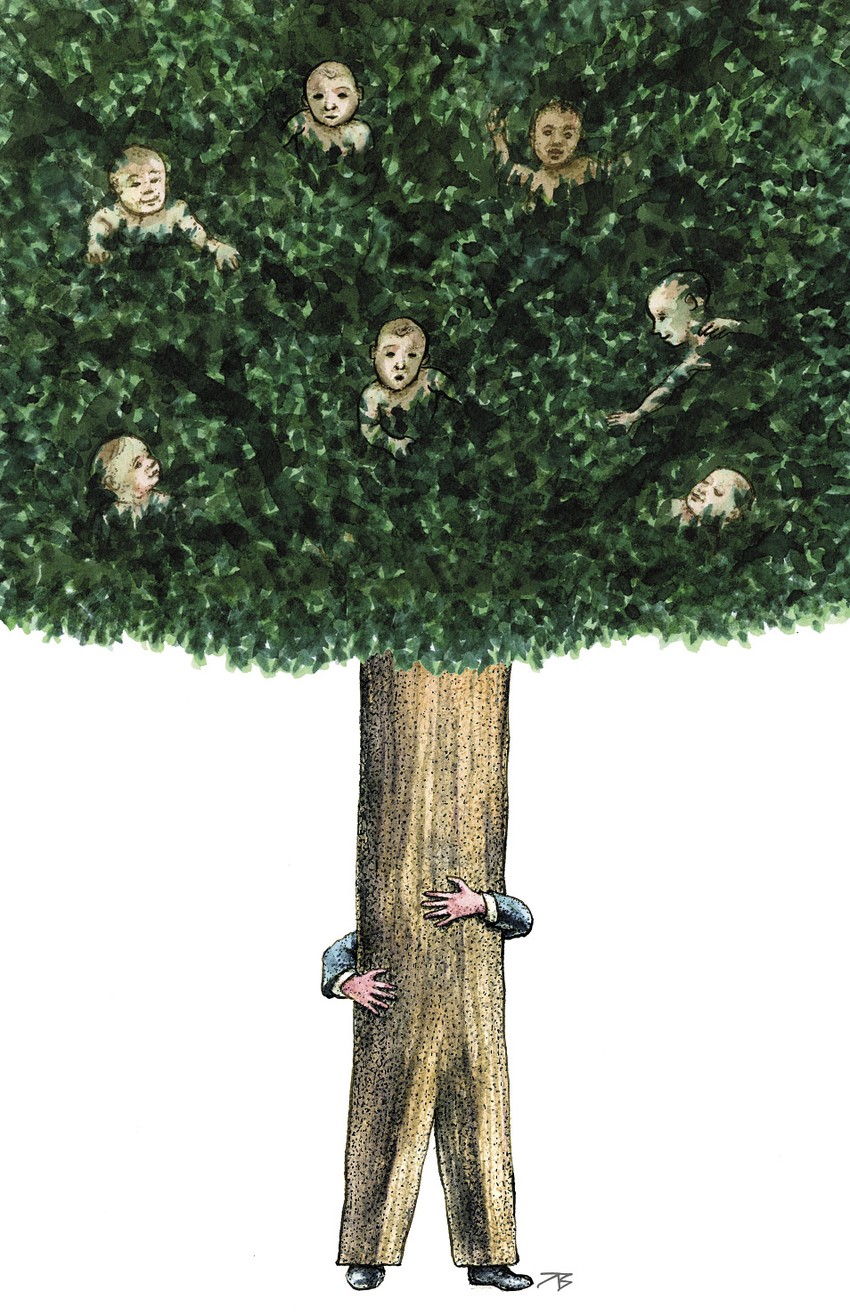 NIN demografija - Ilus opt