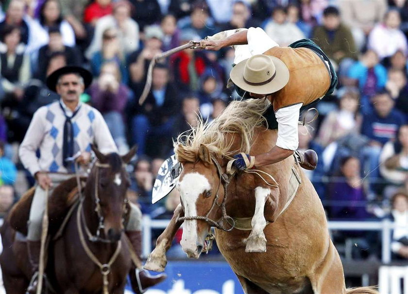 Ujeżdżanie koni w Urugwaju