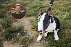 Niemowlę  zagryzione przez psa w Zgorzelcu. Behawiorysta zabiera głos