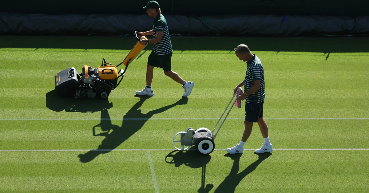 Sport w TV we wtorek 1 lipca. Świątek, Linette i Fręch grają na Wimbledonie. Gdzie obejrzeć na żywo?
