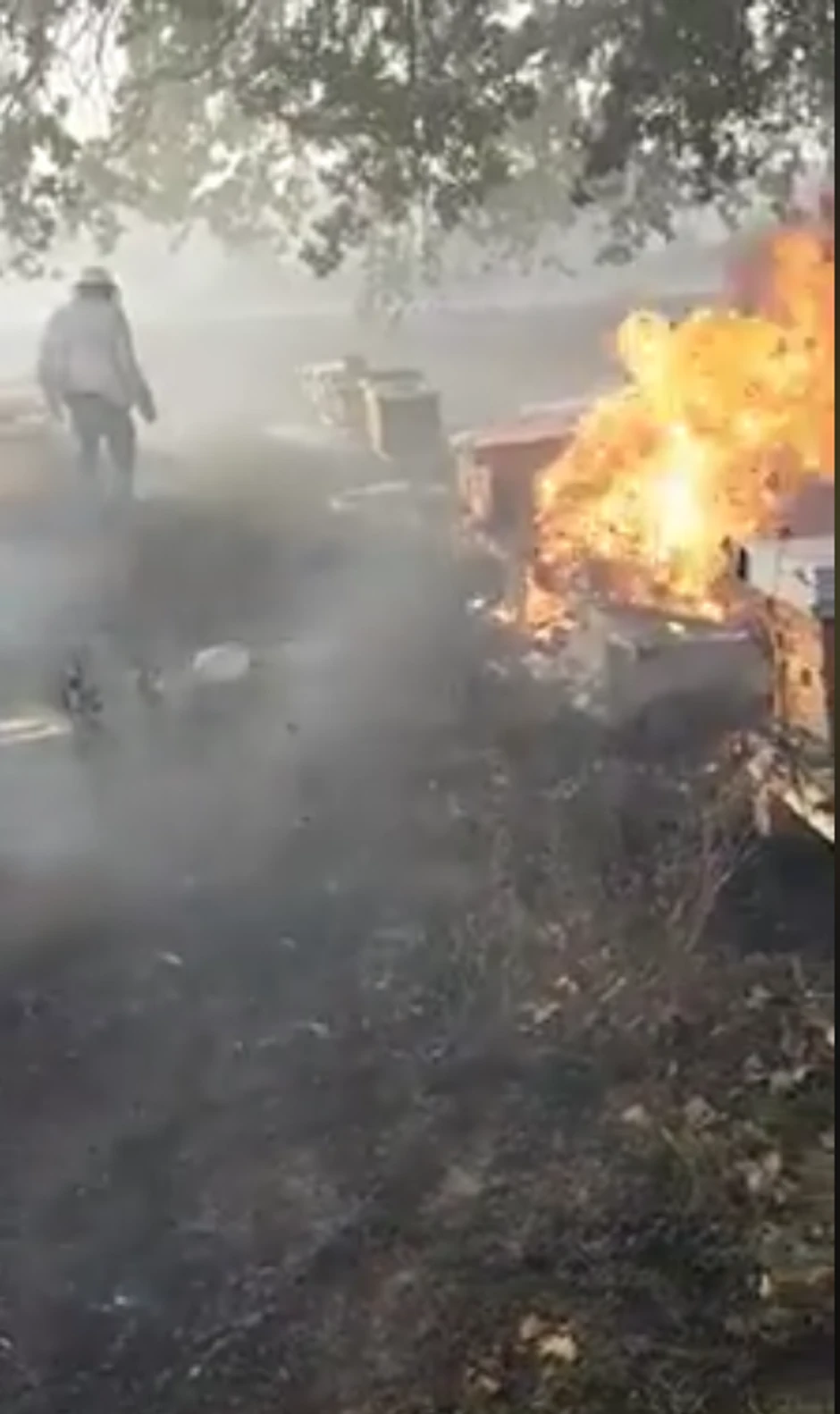 Košnice koje su izgorele u Preševu zbog paljenja njive