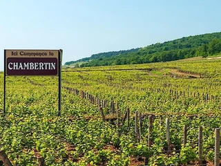 Chambertin