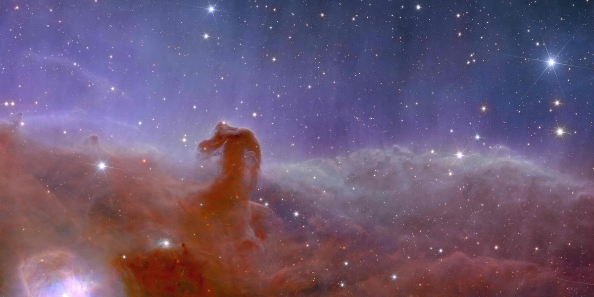Zdjęcie Mgławicy Koński Łeb zrobione przez teleskop Euclid