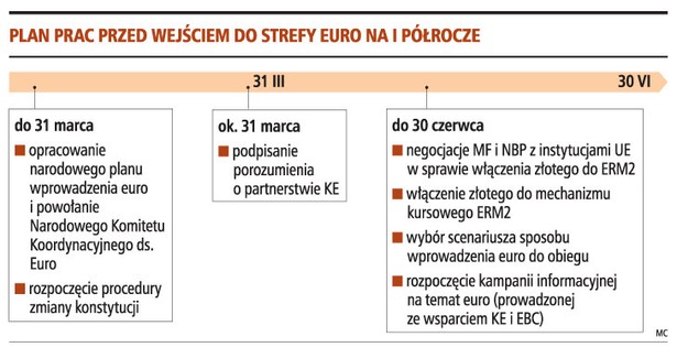 Plan pracy przed wejściem do strefy euro na I półrocze