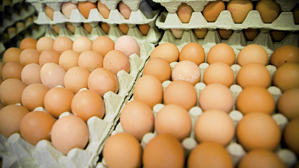 Komisja Europejska domaga się od Polski wyjaśnień w sprawie podrabianego suszu jajecznego. Jak informuje RMF FM, podejrzany składnik w swoich produktach wykryli Czesi i poinformowali o tym Brukselę.