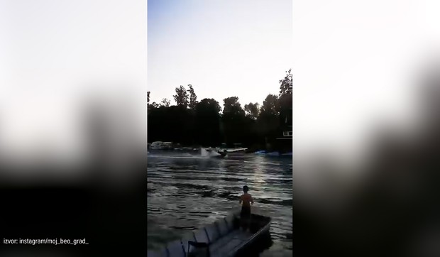 Užas na Tamišu.jpg