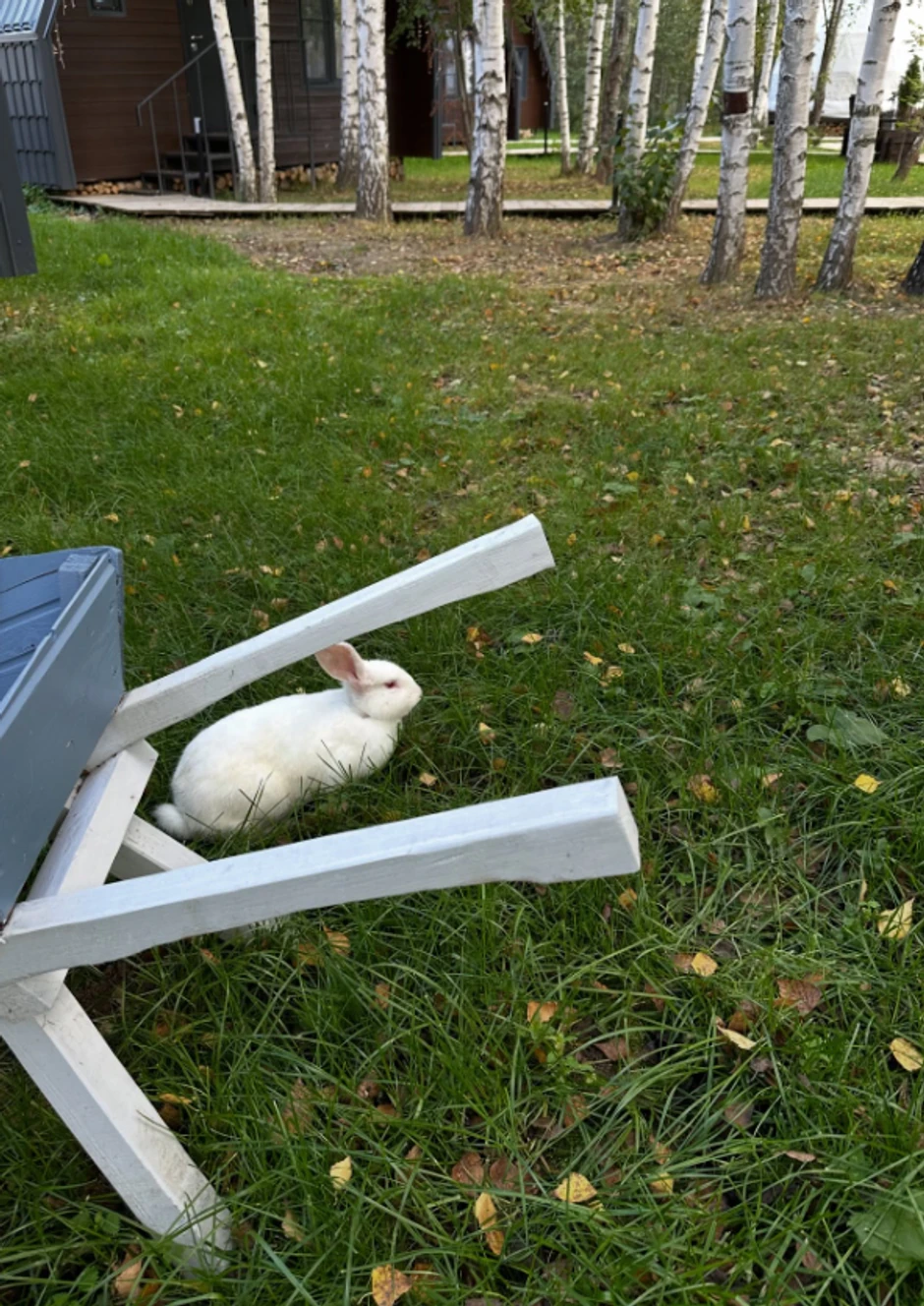 Ivana Malić, objava