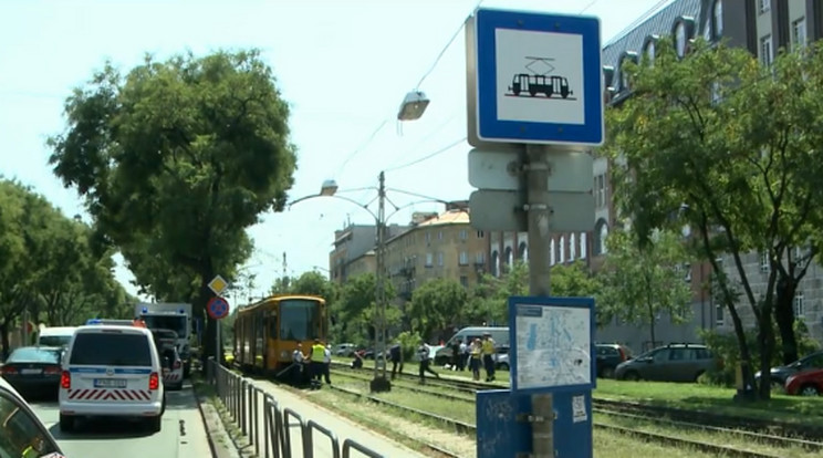 A férfi a zebra helyett a síneken akart átkelni /Fotó: TV2