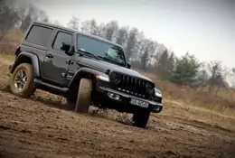 Jeep Wrangler Sahara – nie tylko na pustynię