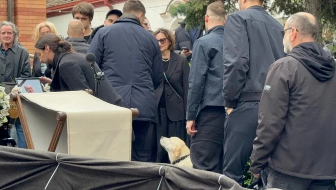 Supruga Duška Vujoševića, Ana, dovela na sahranu njihovog psa, žutog labradora 