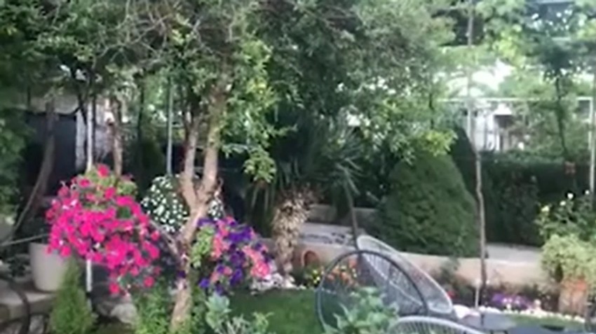 Nataša Ninković imanje