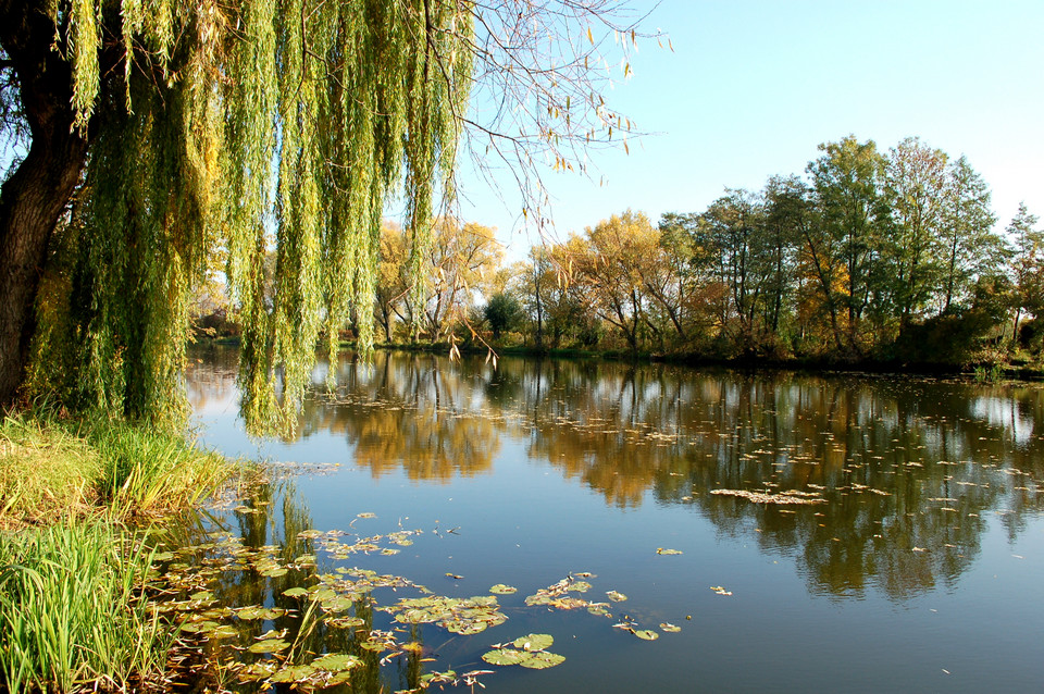 Jezioro Czerskie