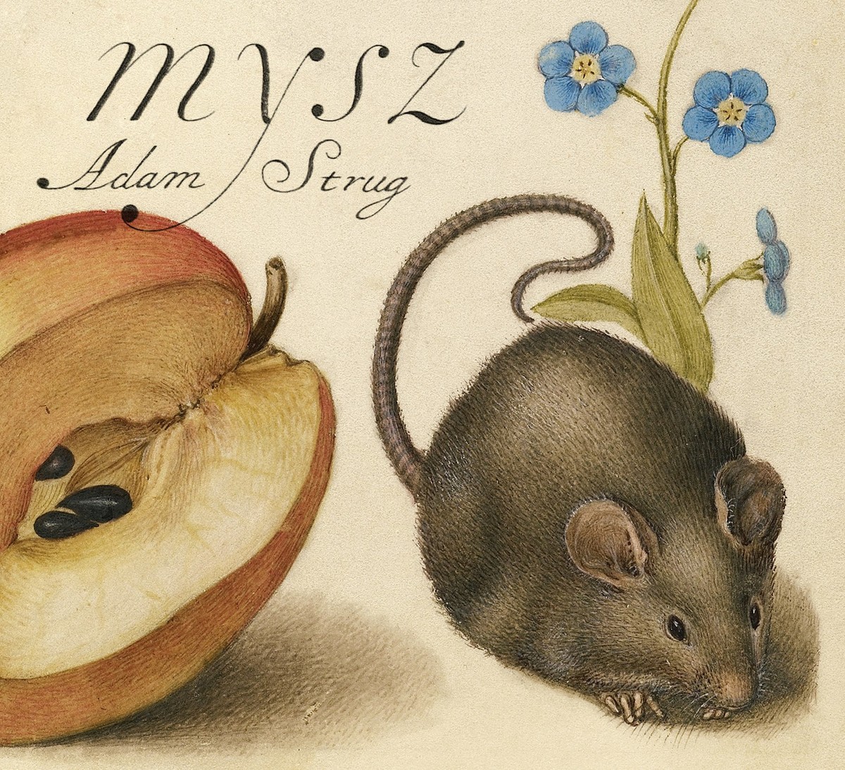 Adam Strug "Mysz"