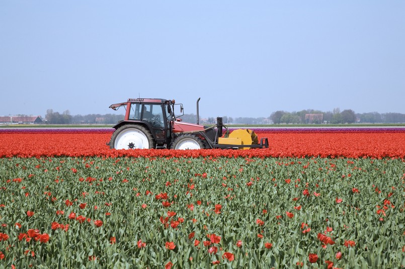 Ok. 1,36 mln rolników stara się o dopłaty bezpośrednie za 2012 r.