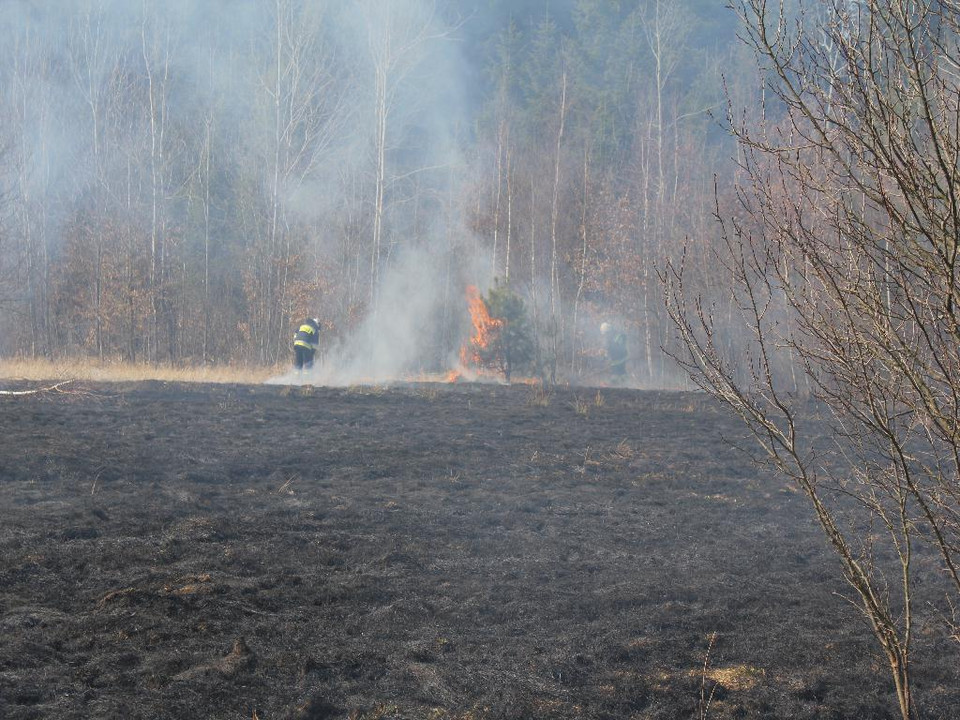 Podpalenie łąki w Świętokrzyskim Parku Narodowym, Fot. rysiek.m/Daj znać!
