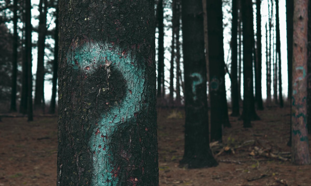 Quiz, który obnaża luki w wiedzy dorosłych Polaków. 14 pytań