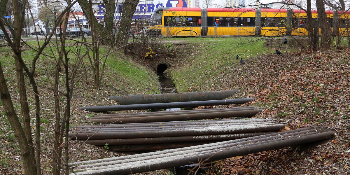 Potok na Bielanach jest strasznie brudny i śmierdzi 