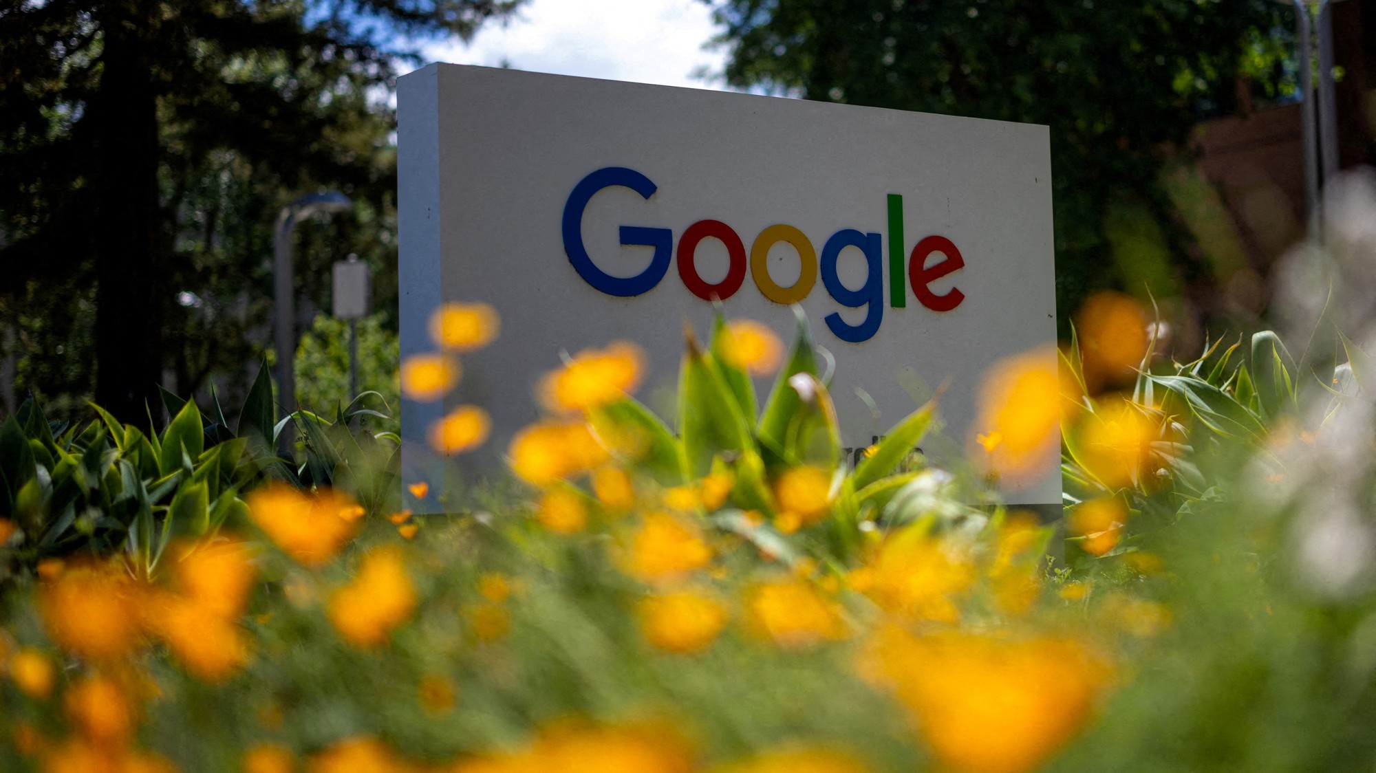 Google ide do boja s prírodou, posiela do akcie 32 miliónov 