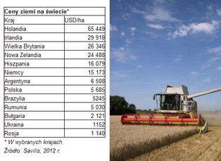 Globalny boom na ziemię rolną to okazja na solidny zarobek