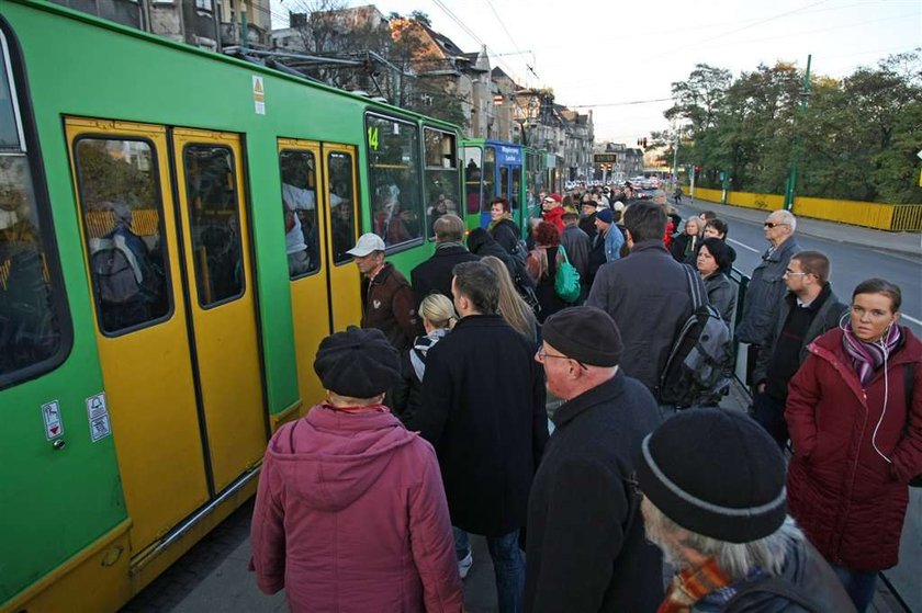 Poznań. Chcemy dłuższych tramwajów