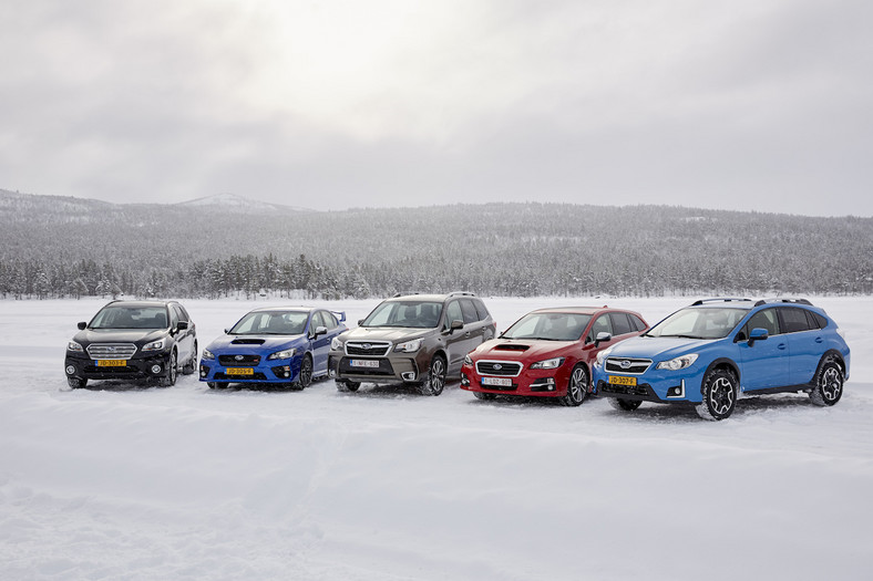 Subaru Snow Drive 2016