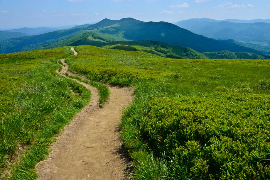 Bieszczady to jeden z najbardziej dzikich i tajemniczych zakątków Polski