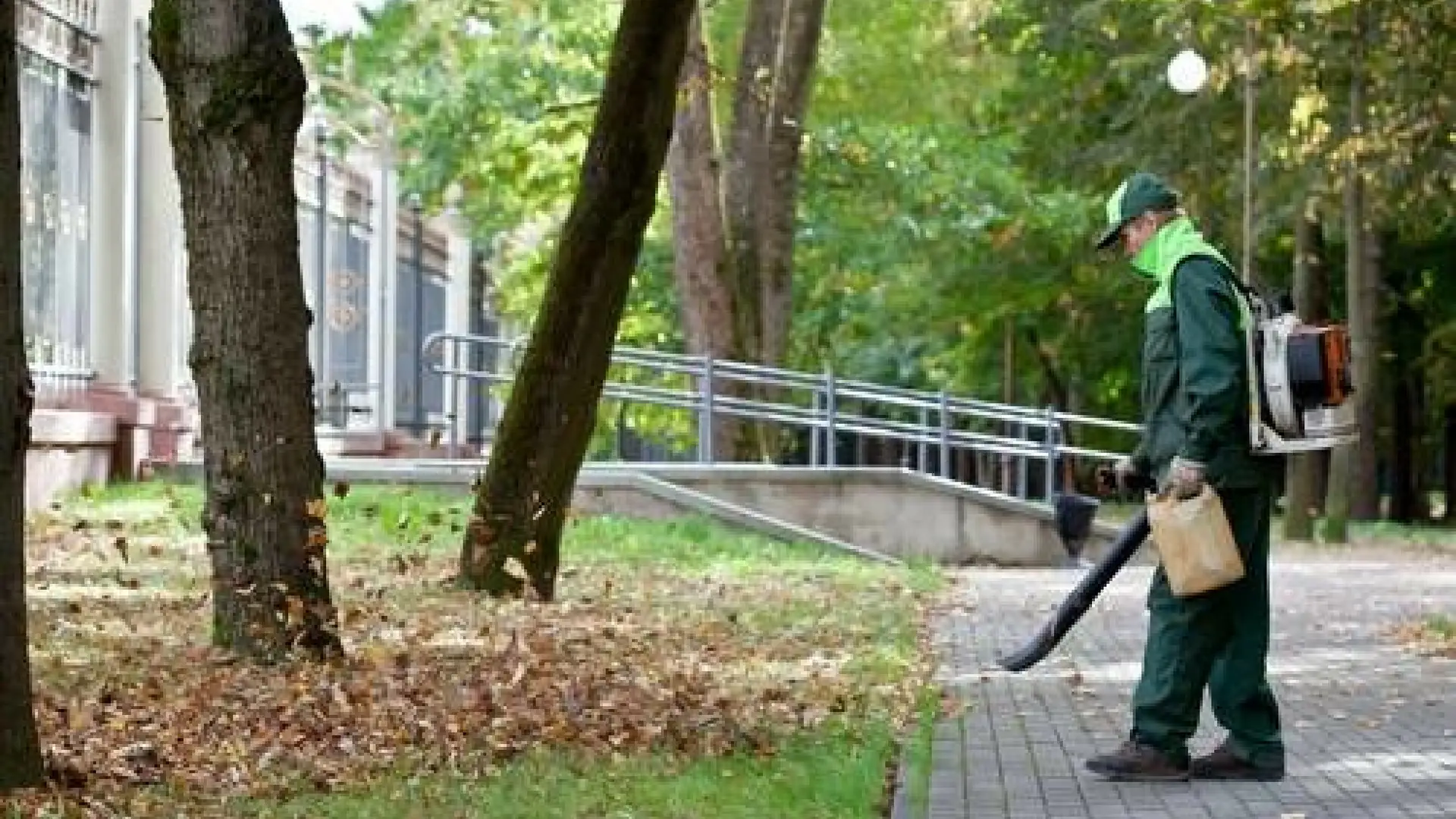 Kolejne miasto rezygnuje ze sprzątania liści w parkach. Wiele zwierząt będzie wdzięcznych