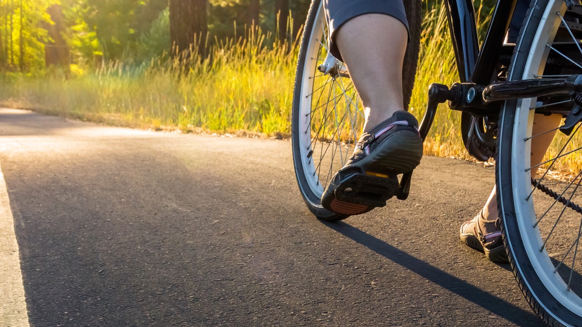 Opolskie: wytną drzewa, żeby zbudować ścieżkę rowerową?