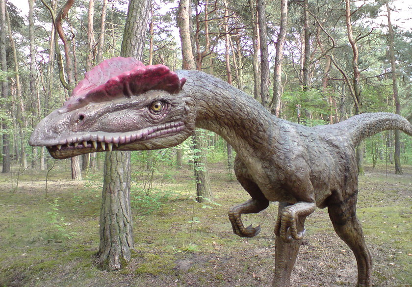 Takie dinozaury staną w Poznaniu!