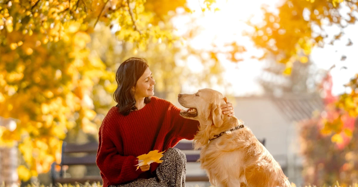 Szok w pogodzie! Już za kilka dni nawet 22 st. C w Polsce. Zimno nagle ustąpi ciepłu
