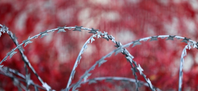 Zwłoki migranta przy granicy z Białorusią. Prokuratora ujawnia przyczynę śmierci