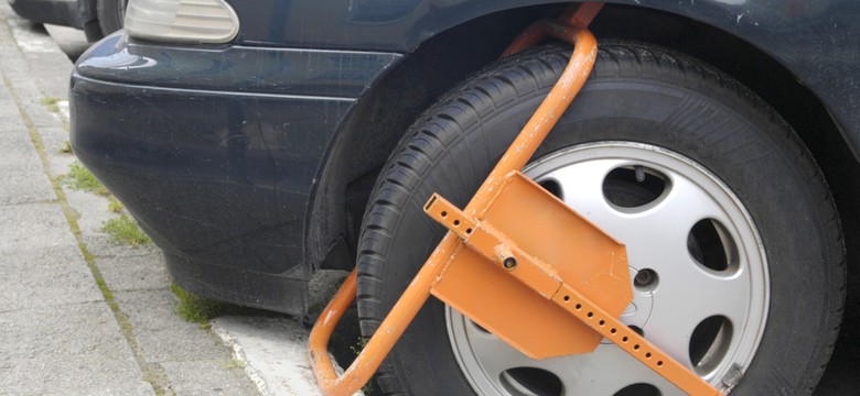 Park na Wielkiej Wyspie jak dziki parking. Będą słupki i blokady