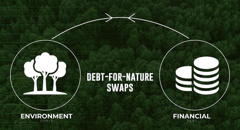 Gabon becomes the first African country to initiate the brilliant debt-for-nature swap, for up to $450 million