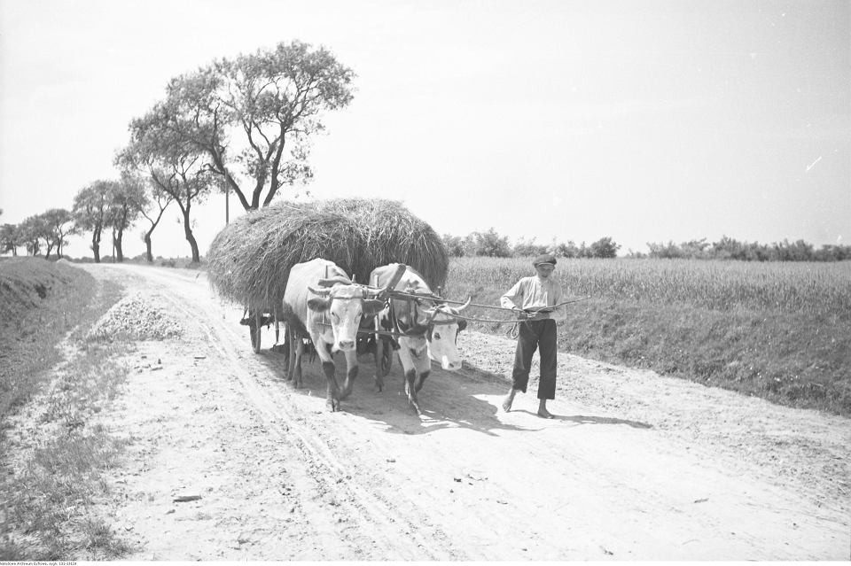 Drohowyże, 1938 r.