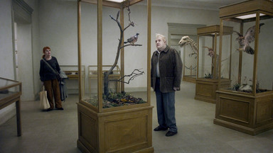 "A Pigeon Sat on a Branch Reflecting on Existence": absurdy codzienności
- recenzja