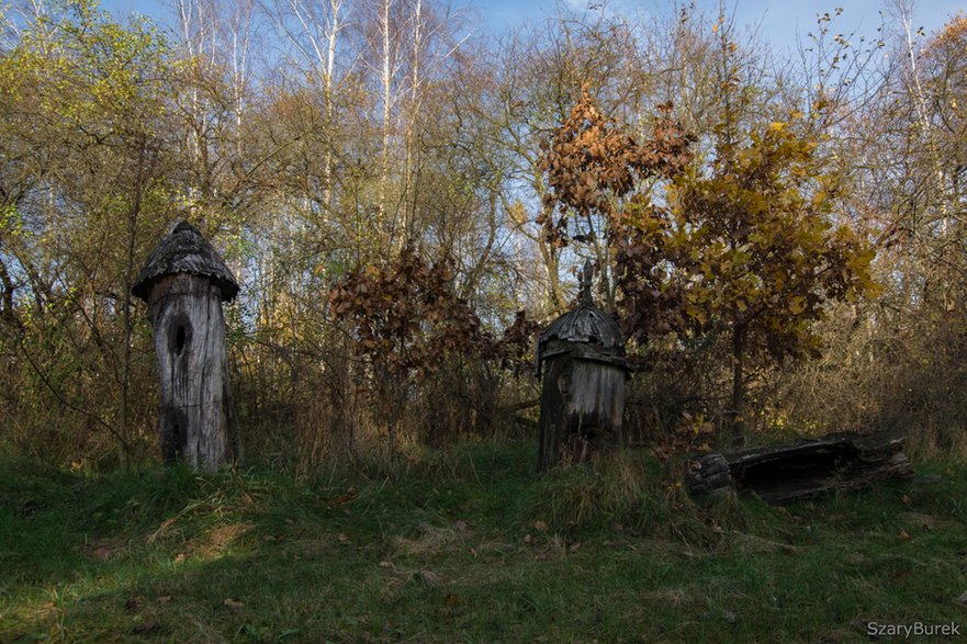 Zapomniany skansen w Petrykozach