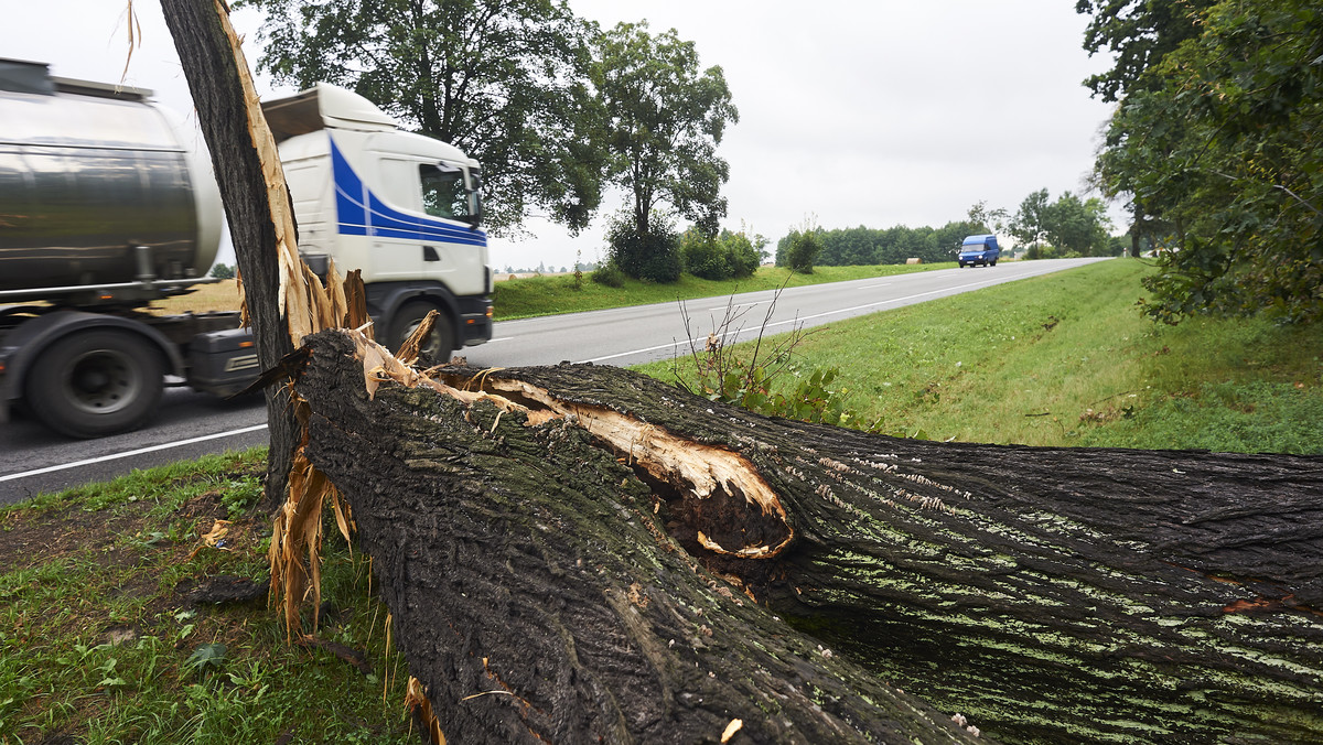 Jak podają przedstawiciele wojewódzkiego centrum kryzysowego, w wyniku wczorajszej burzy na Pomorzu zginęło pięć osób, w tym dwoje dzieci. Strażacy odnotowali kilkaset zgłoszeń. Premier Szydło jest już w Gdańsku, niedługo ma wydać specjalne oświadczenie.