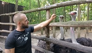 "Jako vole puno zelenog, a dodatak ishrani mogu biti jabuke, zelena salata ili kupus."